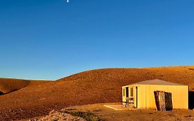 Camp Cameleon